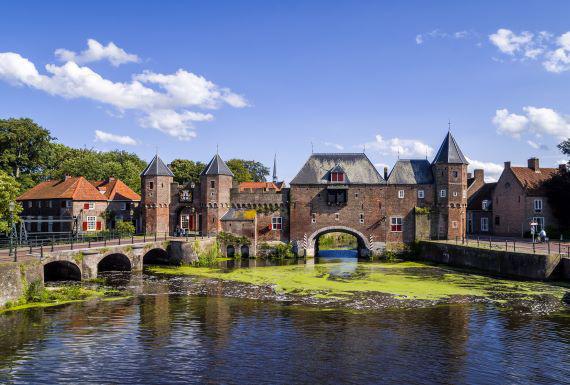 wespenbestrijding-amersfoort