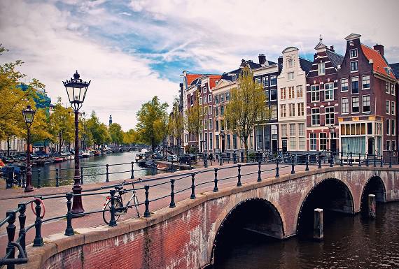 wespenbestrijding-amsterdam