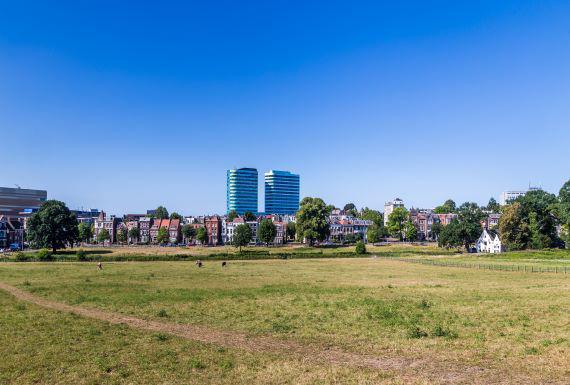 wespenbestrijding-arnhem