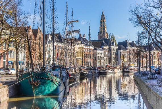 wespenbestrijding-groningen