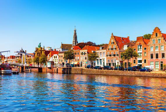 wespenbestrijding-haarlem