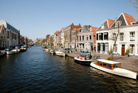 wespenbestrijding-leiden