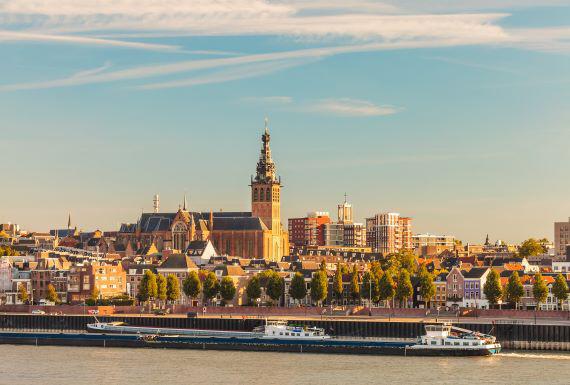wespenbestrijding-nijmegen